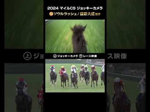 【ジョッキーカメラ×レース映像】2024年 マイルチャンピオンシップ ソウルラッシュ 団野大成騎手 #shorts ｜JRA公式