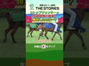 『萩野公介×JRA THE STORIES』「STORY10 うみかぜホースファーム」#3 ～沖縄伝統の琉球競馬～ | JRA公式