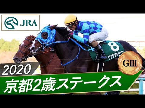 2020年 京都2歳ステークス（GⅢ） | ワンダフルタウン | JRA公式