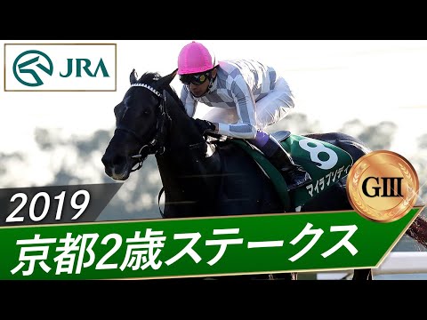 2019年 京都2歳ステークス（GⅢ） | マイラプソディ | JRA公式