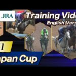 2024 Japan Cup (G1) Training Video | JRA Official [ENG sub] ジャパンカップ 調教VTR（英語版）