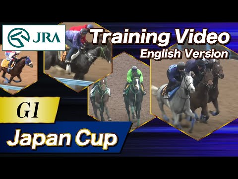 2024 Japan Cup (G1) Training Video | JRA Official [ENG sub] ジャパンカップ 調教VTR（英語版）