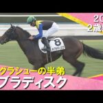 リスグラシューの半弟ネブラディスクが突き抜け快勝!福永調教師「ゆっくり丁寧に育てていきたい」 2024年 11月24日(日)2歳新馬 京都芝2000m 実況:川島壮雄【カンテレ公式】