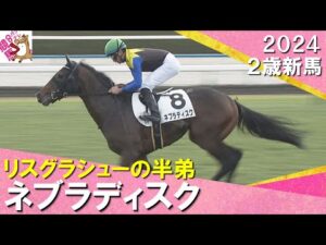 リスグラシューの半弟ネブラディスクが突き抜け快勝！福永調教師「ゆっくり丁寧に育てていきたい」　2024年 11月24日(日)２歳新馬　京都芝2000m　実況：川島壮雄【カンテレ公式】