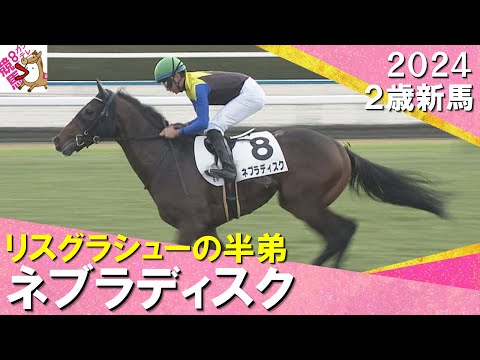 リスグラシューの半弟ネブラディスクが突き抜け快勝！福永調教師「ゆっくり丁寧に育てていきたい」　2024年 11月24日(日)２歳新馬　京都芝2000m　実況：川島壮雄【カンテレ公式】