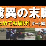 【とんでもない末脚!】「すごい脚!届くか!?届いた!」驚異の末脚をまとめてお届け!ダート編 #1