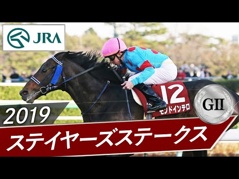 2019年 ステイヤーズS（GⅡ） | モンドインテロ | JRA公式