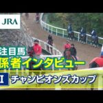 【注目馬 関係者インタビュー】2024年 チャンピオンズカップ|JRA公式