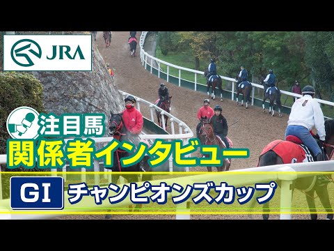 【注目馬 関係者インタビュー】2024年 チャンピオンズカップ｜JRA公式