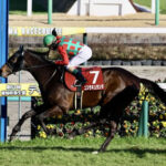 コスモキュランダ有馬記念に行かず中日新聞杯へ