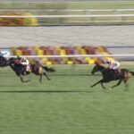【デイリー杯2歳ステークス2024】結果・動画/ランフォーヴァウが重賞初V