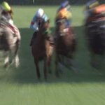 【競馬】先週散々負けたのに東京5Rパルフェクォーツにぶっこむ馬鹿がいてワロタw