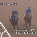 【チャレンジカップ2024】追い切り/動きを見極め勝利に近づけ