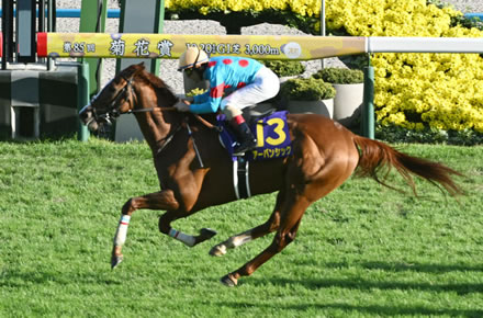 菊花賞馬アーバンシック 有馬記念参戦決定