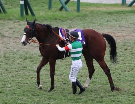 【朗報】17着ナミュール特に異常なし 高野師「検査する必要もない」