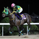 【競馬予想】[2]第25回チャンピオンズカップ(GI) /2024