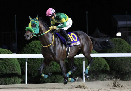 【JBCクラシック】ウィルソンテソーロが圧勝でJpn1初制覇！川田が地元佐賀で錦を飾る