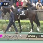 イクイノックス妹ガルサブランカ(父キズナ)、1勝クラスで負けまくる