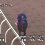 【チャンピオンズカップ2024】追い切り/動きからレースを紐解く