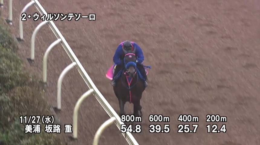 【チャンピオンズカップ2024】追い切り/動きからレースを紐解く