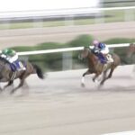 【競馬】JBCスプリントは石橋騎乗のタガノビューティーがV 武豊騎乗のチカッパ2着