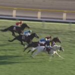【アルゼンチン共和国杯2024】結果・動画/ハヤヤッコが鮮やかに復活V