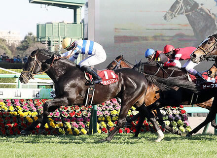 ヒシイグアスが引退 中山競馬場で乗馬へ