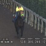 【武蔵野ステークス2024】追い切り/動きからレースを紐解く