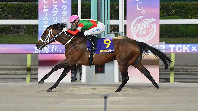 【JBCクラシック】ウィルソンテソーロ＆川田騎手がｷﾀ━━━━(ﾟ∀ﾟ)━━━━!!