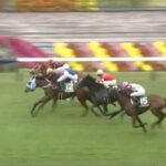 【競馬】ファンタジーSは団野騎乗のダンツエランがV