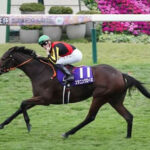 スタニングローズ 有馬記念へ
