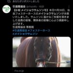 【訃報】メイショウサムソン死去
