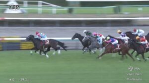 【ステイヤーズステークス2024】結果・動画/シュヴァリエローズがハナ差の大接戦を制す