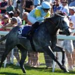 【競馬予想】[3]第41回マイルチャンピオンシップ(GⅠ)/ 2024