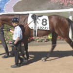 【競馬予想】第60回京王杯2歳ステークス(GⅡ) /2024