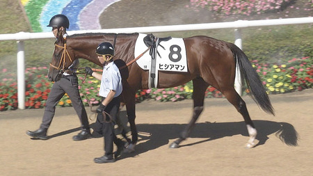 【競馬予想】第60回京王杯2歳ステークス(GⅡ) /2024