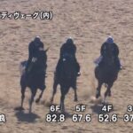 【マイルCS 2024】追い切り/抜群の動きを見せたのは