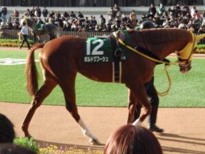 【チャレンジC】ラヴェル＆川田騎手がｷﾀ━━━━(ﾟ∀ﾟ)━━━━!!