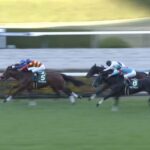 【チャレンジカップ2024】出走予定馬・騎手/勇猛果敢に