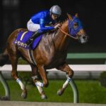 レモンポップ引退レースのチャンピオンズC終了後に引退式開催