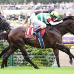 シックスペンス 坂井瑠星でマイルCS