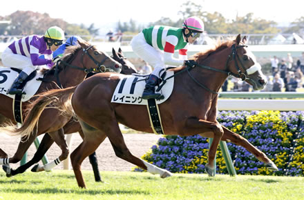 【2歳新馬】レイニング強すぎワロタwww