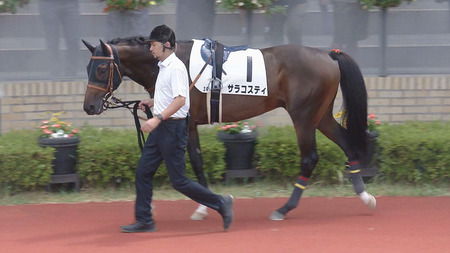 【京都2歳S】サラコスティ弱すぎワロタw w w w w