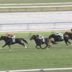 【京都2歳ステークス2024】結果・動画/エリキングが無傷の3連勝