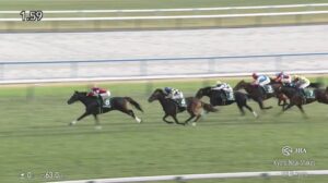 【京都2歳ステークス2024】結果・動画/エリキングが無傷の3連勝