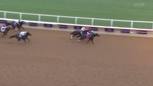 【ブリーダーズカップスプリント2024】結果・動画/ストレイトノーチェイサーが抜け出す