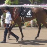 【競馬予想】第29回ファンタジーステークス(GⅢ) /2024