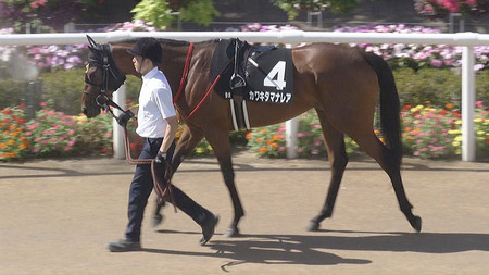 【競馬予想】第29回ファンタジーステークス(GⅢ) /2024