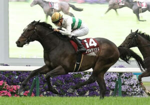 【競馬予想】[1]第41回マイルチャンピオンシップ(GⅠ)/ 2024