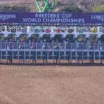 【BCクラシック】フォーエバーヤングは3着 米国馬シエラレオーネが優勝
